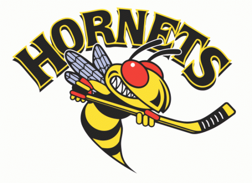 Langley Hornets 1998-99 hockey logo of the BCHL