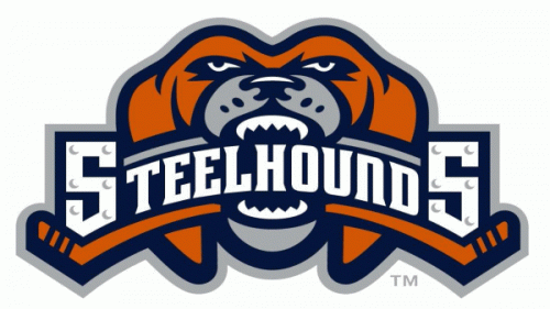 Youngstown Steelhounds 2006-07 hockey logo of the CHL