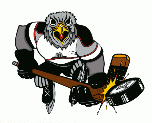 Detroit Falcons 1993-94 hockey logo of the CoHL