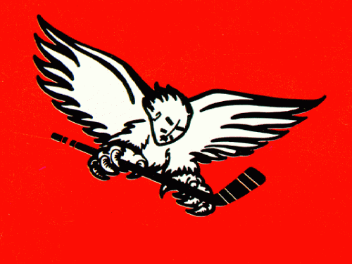 Carolina Thunderbirds 1988-89 hockey logo of the ECHL