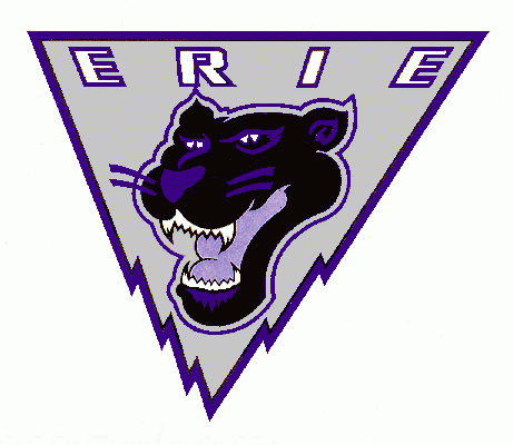 Erie Panthers 1995-96 hockey logo of the ECHL