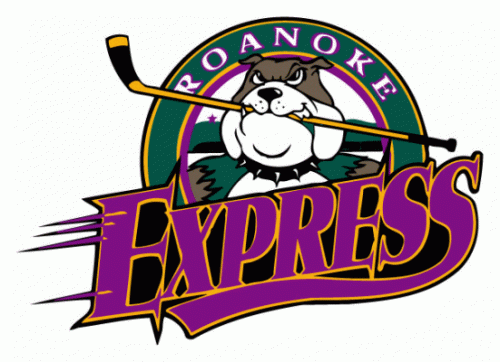 Roanoke Express 1997-98 hockey logo of the ECHL