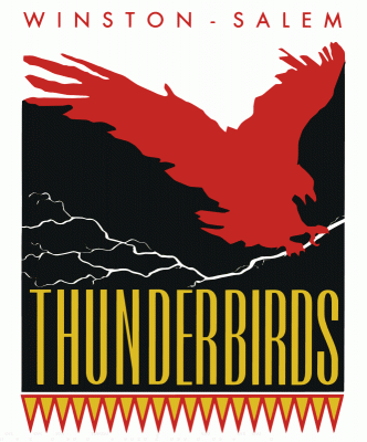 Winston-Salem Thunderbirds 1989-90 hockey logo of the ECHL