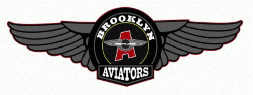 Brooklyn Aviators 2011-12 hockey logo of the FHL