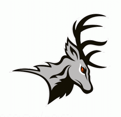 Danville Dashers 2016-17 hockey logo of the FHL