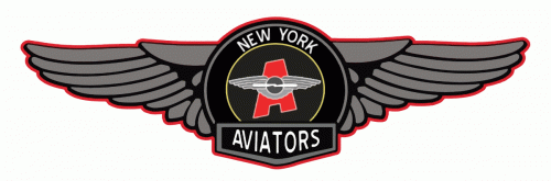 New York Aviators 2010-11 hockey logo of the FHL