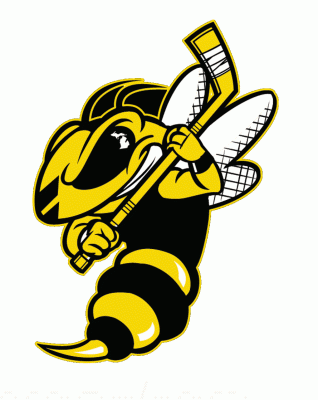 Battle Creek Rumble Bees 2019-20 hockey logo of the FPHL