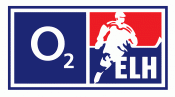 2008-2009 Czech logo