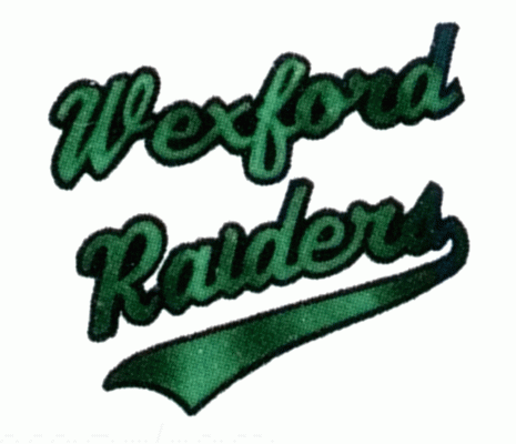 Wexford Raiders 1997-98 hockey logo of the MetJHL