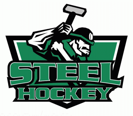 Chippewa Steel 2018-19 hockey logo of the NAHL