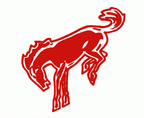 Barrie Broncos 1983-84 hockey logo of the OHASr
