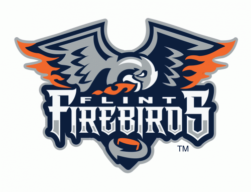 Flint Firebirds 2015-16 hockey logo of the OHL