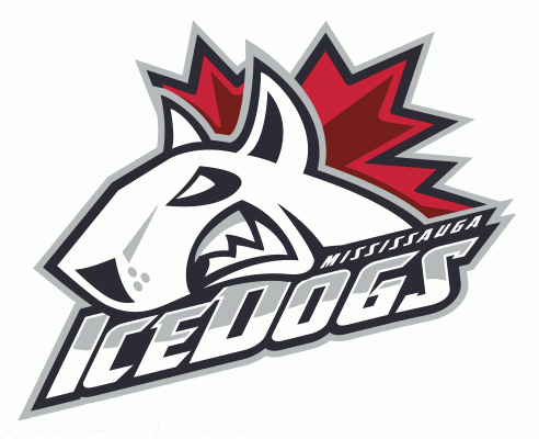 Mississauga IceDogs 2006-07 hockey logo of the OHL