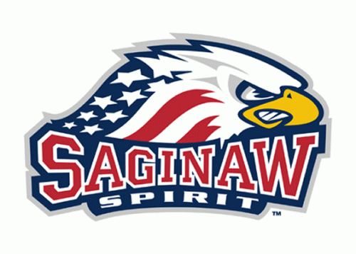 Saginaw Spirit 2002-03 hockey logo of the OHL