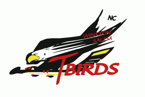 Winston-Salem T-birds 2003-04 hockey logo of the SEHL