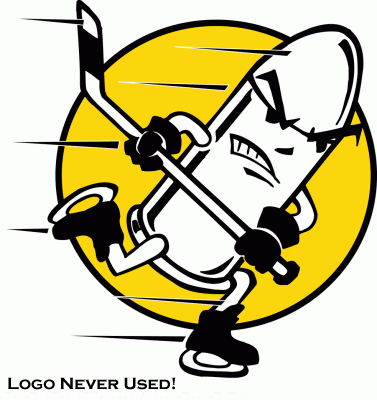 Jacksonville Bullets 1995-96 hockey logo of the SHL