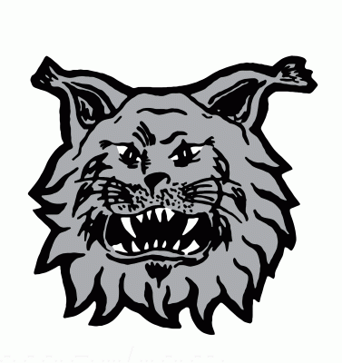 Ilves Tampere 1980-81 hockey logo of the SM-liiga