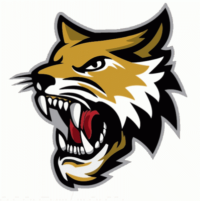 Vermilion County Bobcats 2022-23 hockey logo of the SPHL