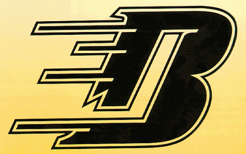 Jacksonville Bullets 1994-95 hockey logo of the SuHL