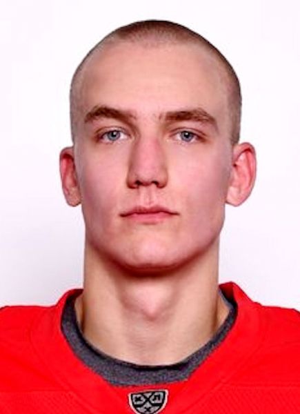 Artem Volkov hockey player photo