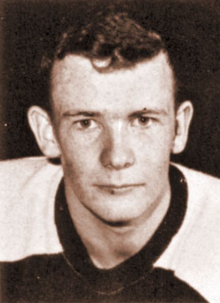 Dave Johnston hockey player photo