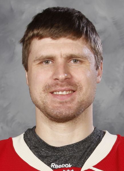 Ilya Bryzgalov hockey player photo