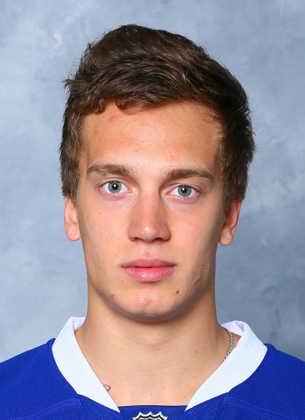 Nikolai Skladnichenko hockey player photo