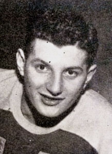 Ron Vannelli hockey player photo