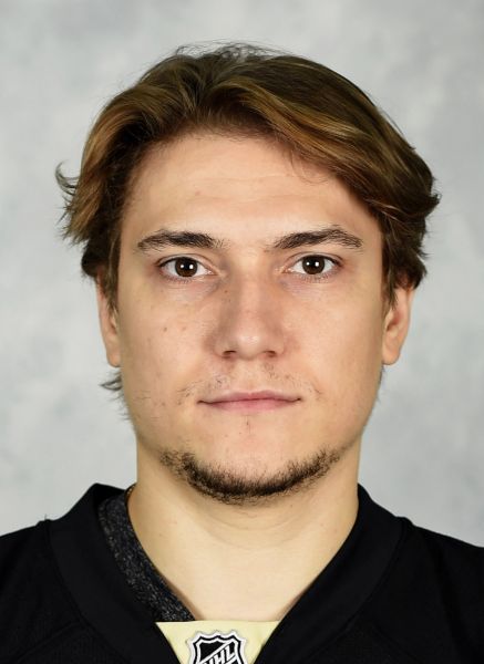 Sergei Plotnikov hockey player photo