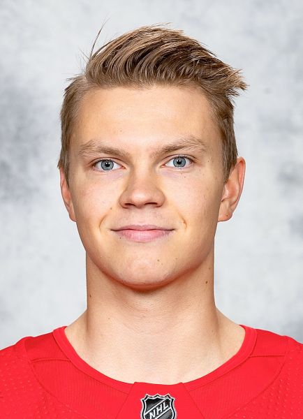 Vili Saarijarvi hockey player photo