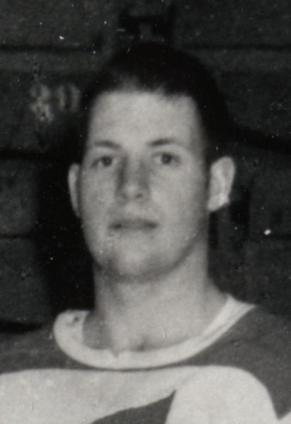 Wayne Hoganson hockey player photo