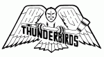 Carolina Thunderbirds 1982-83 hockey logo