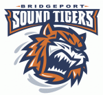 Bridgeport Sound Tigers 2008-09 hockey logo