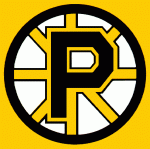 Providence Bruins 1992-93 hockey logo