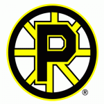 Providence Bruins 2008-09 hockey logo