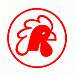 Rhode Island Reds 1976-77 hockey logo