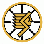 Springfield Indians 1980-81 hockey logo