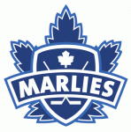 Toronto Marlies 2006-07 hockey logo