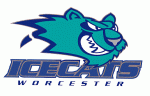 Worcester IceCats 2001-02 hockey logo
