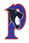 Penticton Panthers 2000-01 hockey logo
