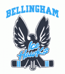 Bellingham Ice Hawks 1992-93 hockey logo