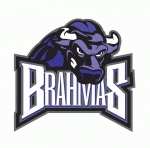 Fort Worth Brahmas 2012-13 hockey logo