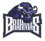 Fort Worth Brahmas 2008-09 hockey logo