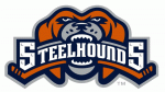 Youngstown Steelhounds 2006-07 hockey logo