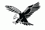 Michigan Falcons 1991-92 hockey logo