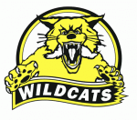 St. Thomas Wildcats 1992-93 hockey logo
