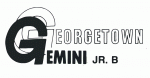 Georgetown Gemini 1984-85 hockey logo