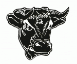 SUNY-Buffalo 1971-72 hockey logo