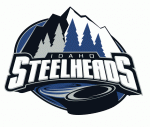 Idaho Steelheads 2006-07 hockey logo