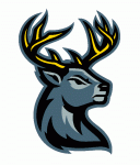 Iowa Heartlanders 2021-22 hockey logo